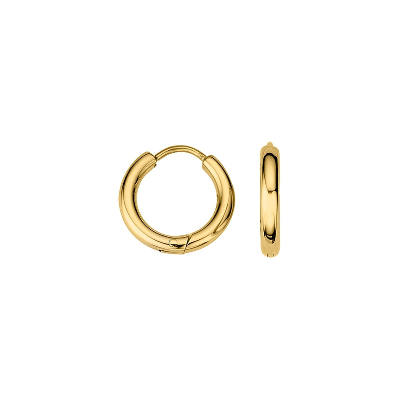 CEM Ohrschmuck 4-202337-001 Titan vergoldet