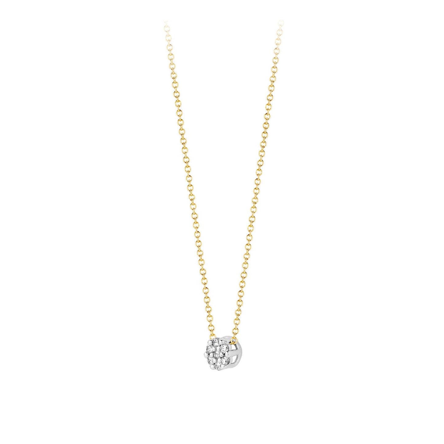 Blush Ohrschmuck 3122YZI 585 Gold