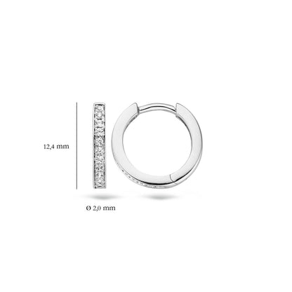 Blush Ohrschmuck 7163WZI 585 Gold