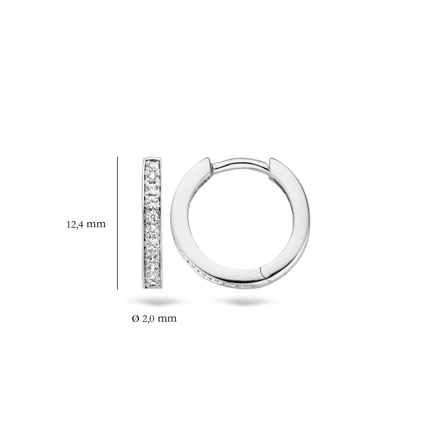 Blush Ohrschmuck 7163WZI 585 Gold