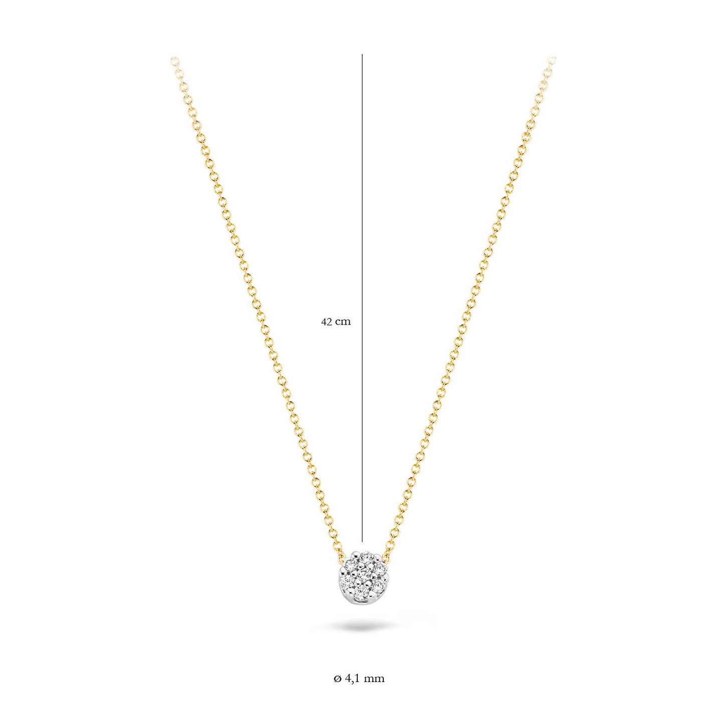 Blush Ohrschmuck 3122YZI 585 Gold