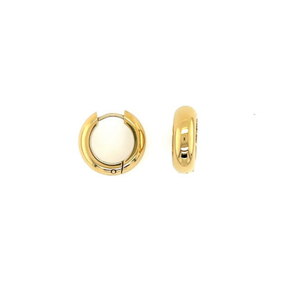 CEM Ohrschmuck 4-203888-001 Titan vergoldet