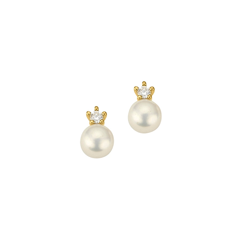 CEM Ohrschmuck BOS306457 Gold
