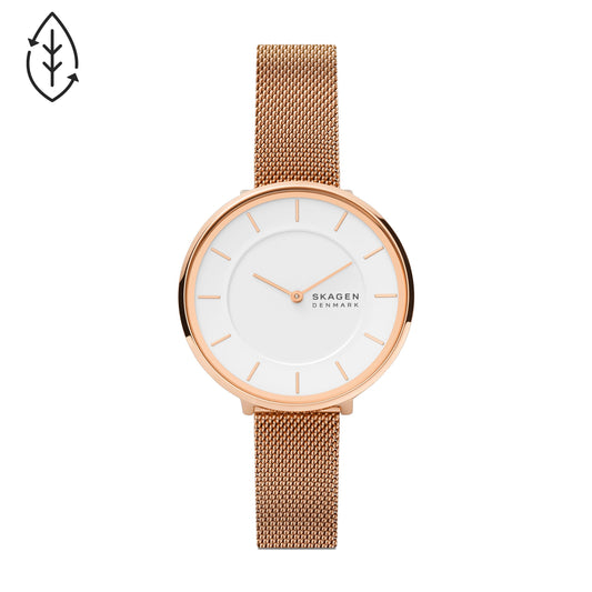 SKAGEN Armbanduhr SKW3013