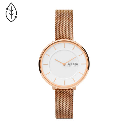 SKAGEN Armbanduhr SKW3013