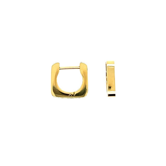 CEM Ohrschmuck 4-203878-001 Titan vergoldet