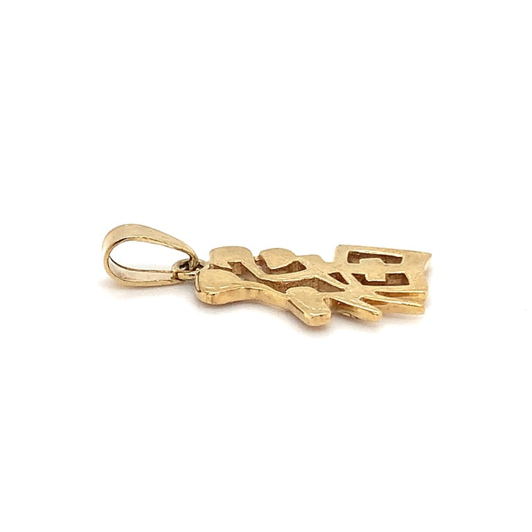 CEM Kettenanhänger EK62089232 Gold 333