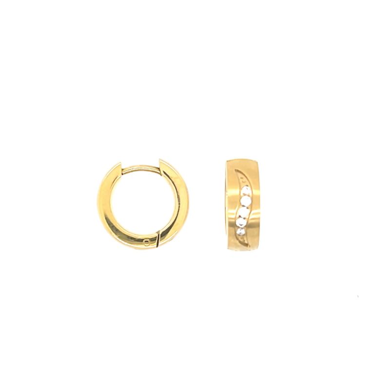 CEM Ohrschmuck 4-203890-001 Titan vergoldet