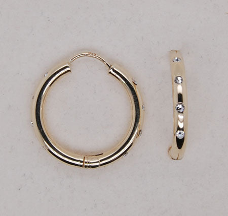 WBL Ohrschmuck 219654-001 Gold 333