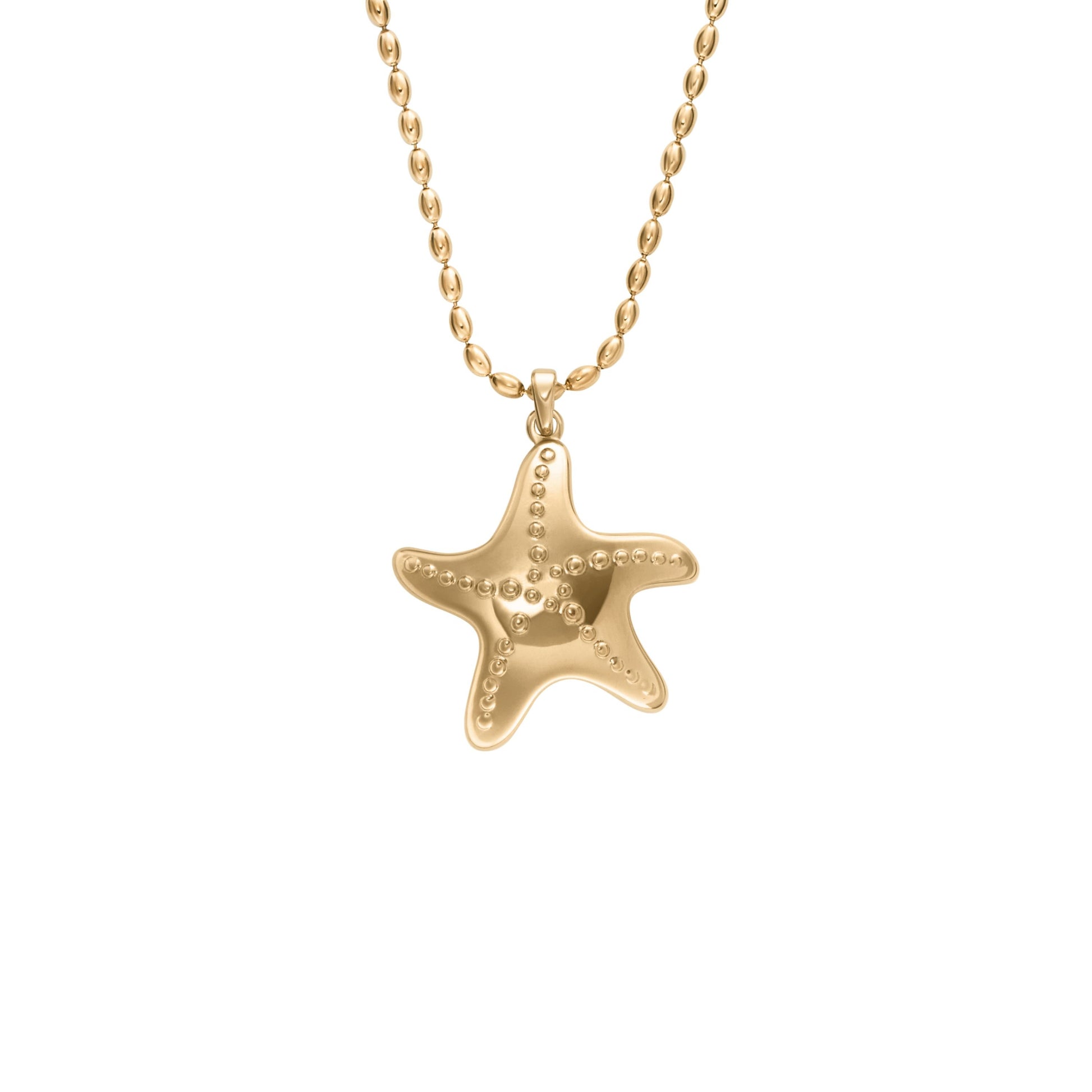 Skagen Halsschmuck SKJ1899710