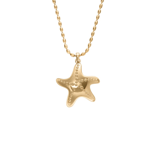 Skagen Halsschmuck SKJ1899710