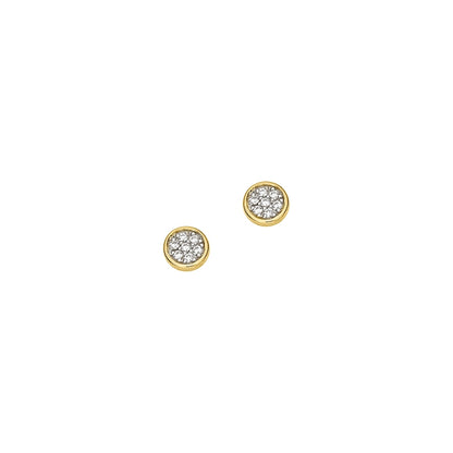 CEM Ohrstecker 6-207285-001 333 Gold