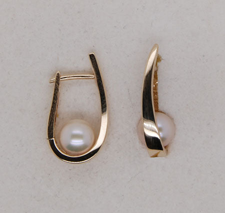 WBL Ohrschmuck 219047-001 Gold