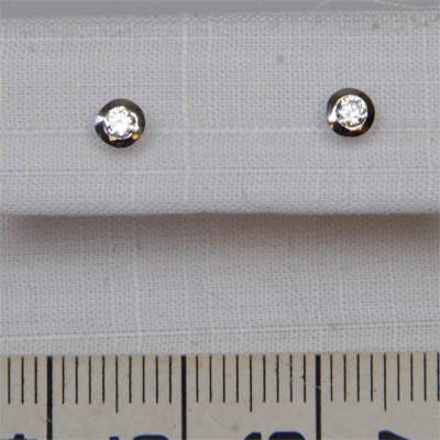 WBL Ohrschmuck 209925-014 Gold 585