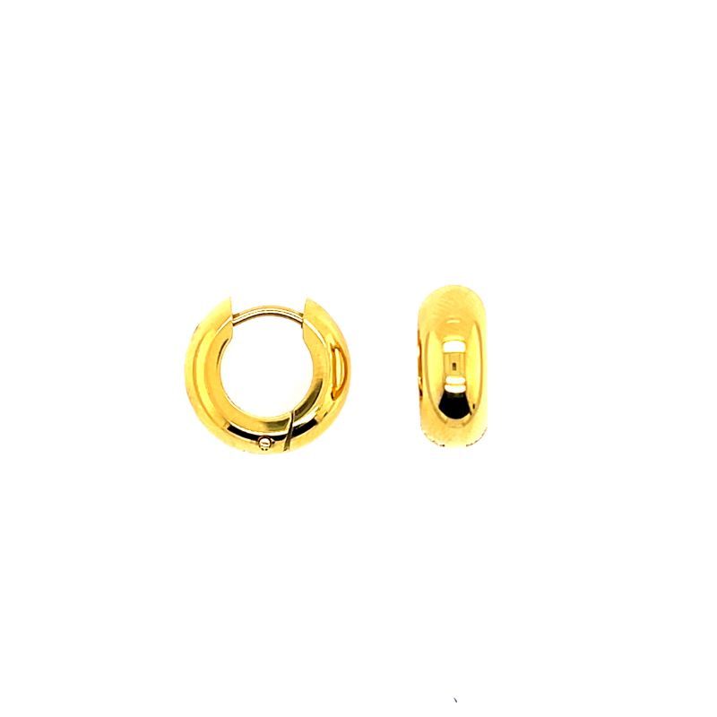 CEM Ohrschmuck 4-203886-001 Titan vergoldet