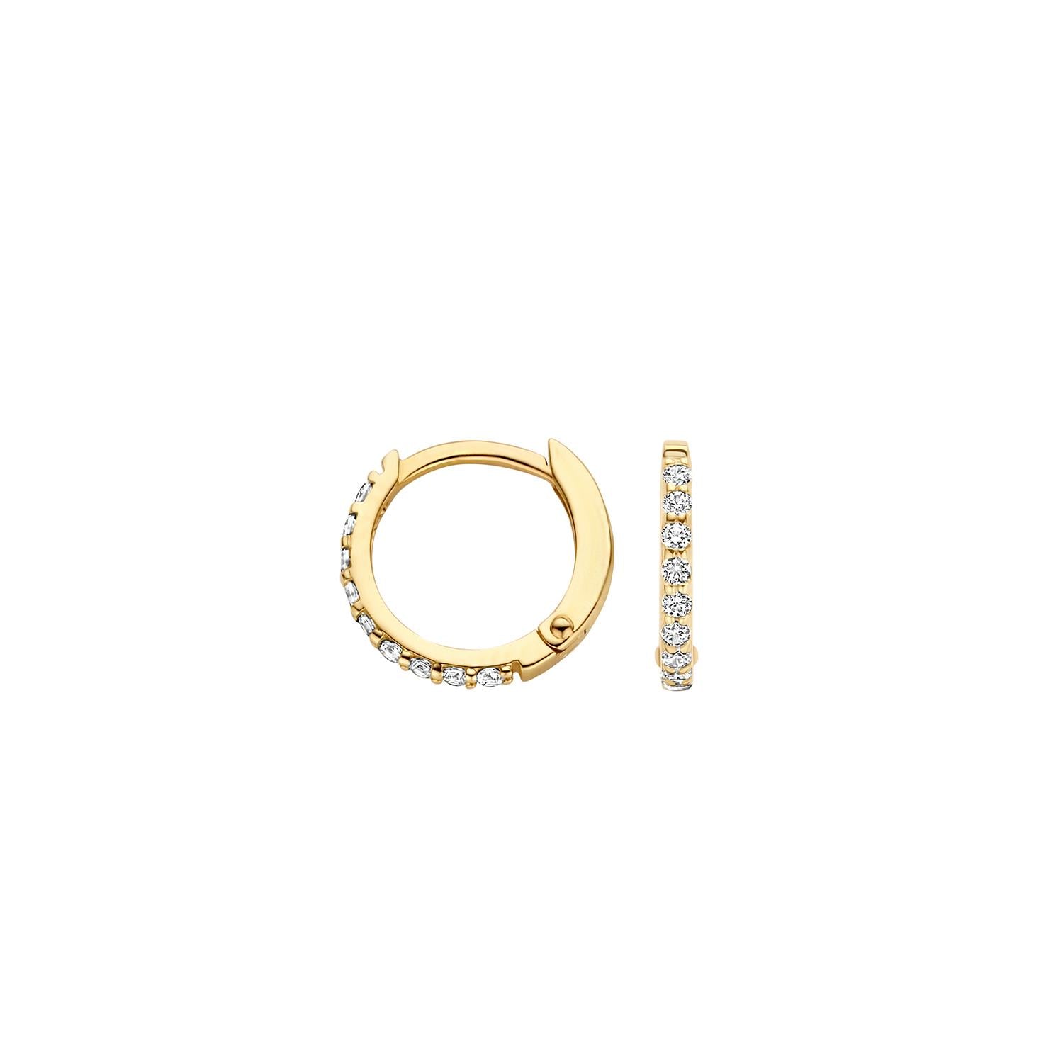 Blush Ohrschmuck 7268YZI 585 Gold