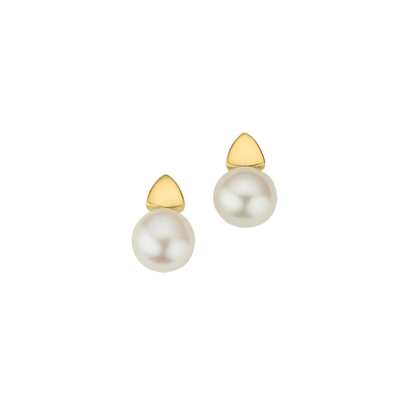 CEM Ohrschmuck BOS306458 Gold