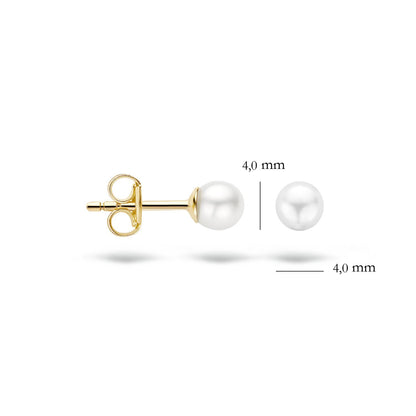 Blush Ohrschmuck 7136YPW 585 Gold