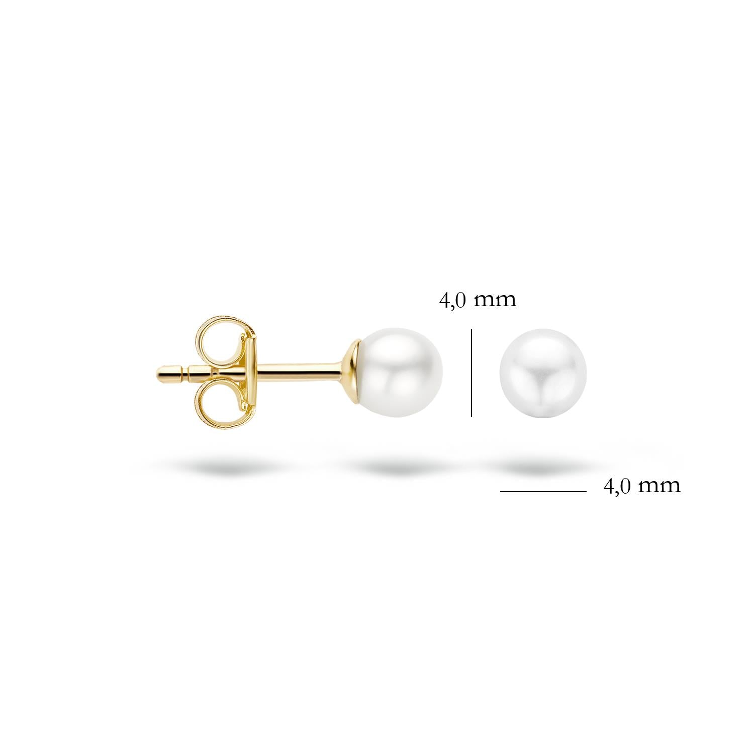 Blush Ohrschmuck 7136YPW 585 Gold