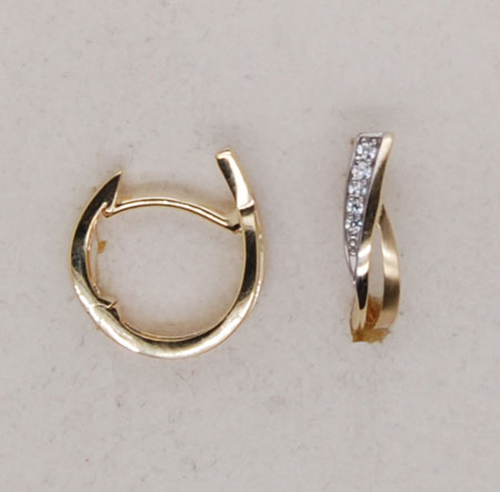 WBL Ohrschmuck 219337-001 Gold