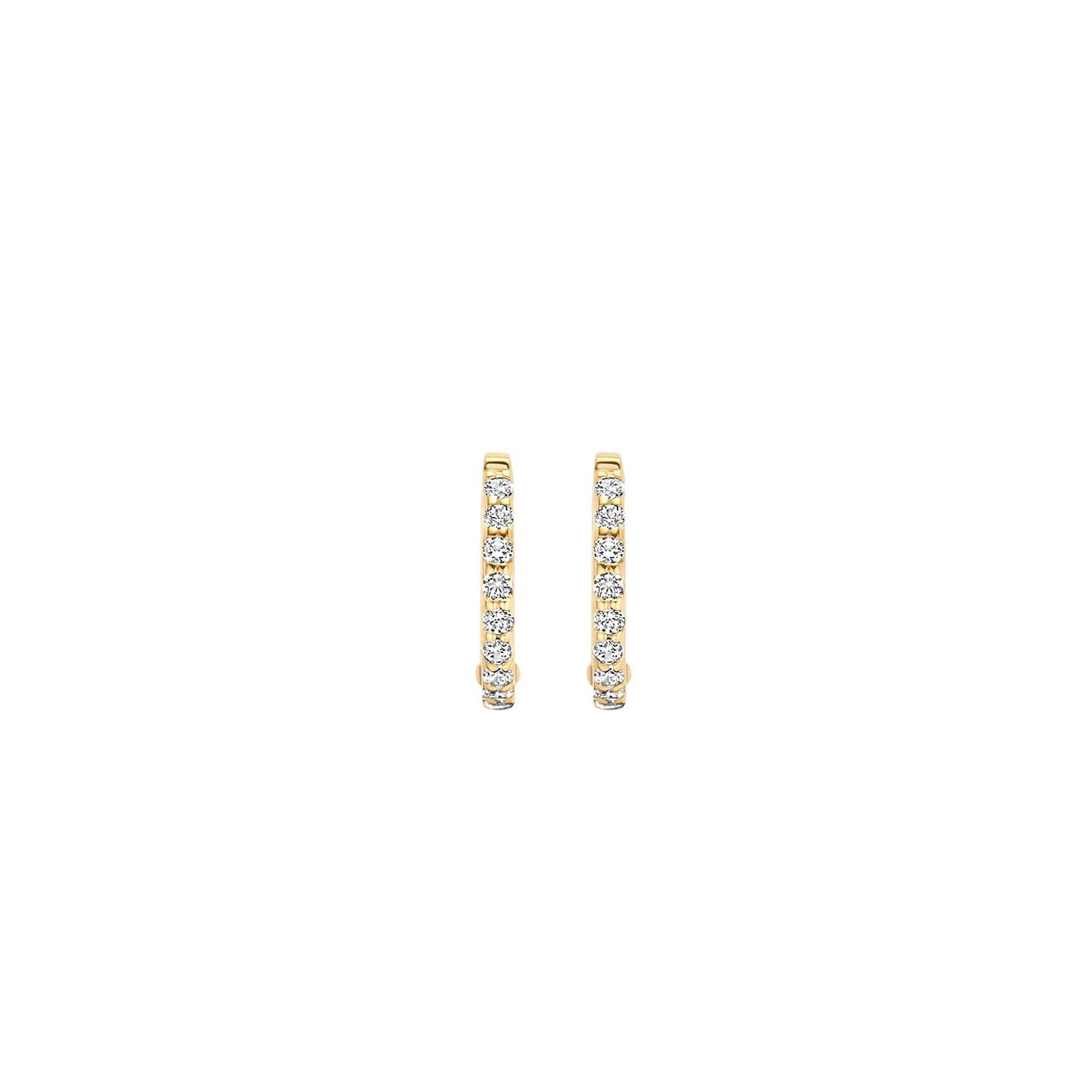 Blush Ohrschmuck 7268YZI 585 Gold
