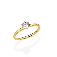 CEM Antragsring BLG5010RG  585 Gold