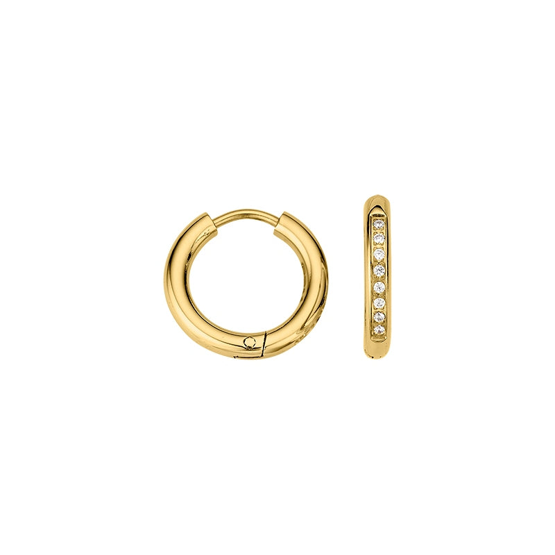 CEM Ohrschmuck 4-202340-001 Titan