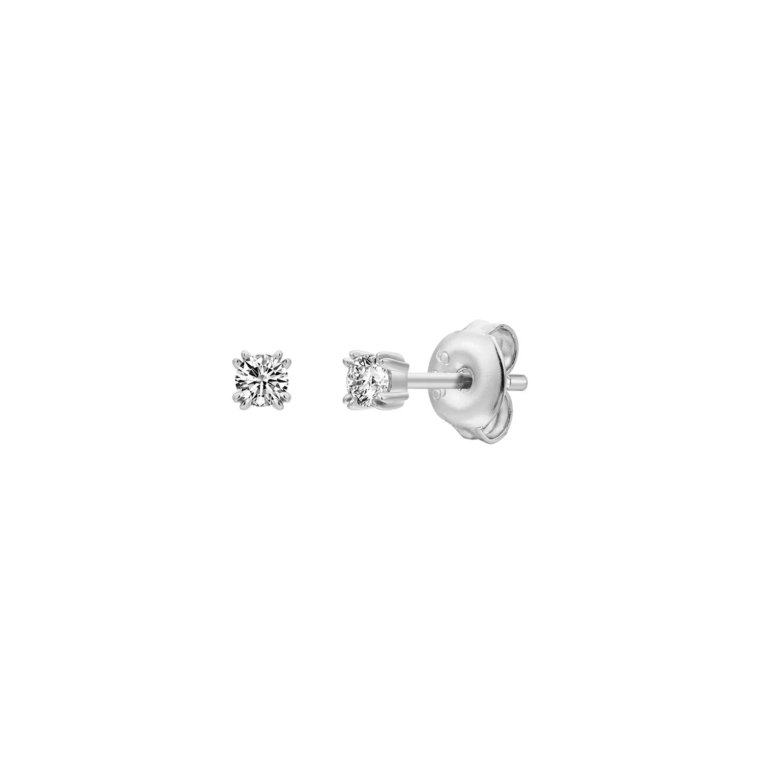 Xenox Ohrringe XS10602 Silber