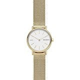 SKAGEN Armbanduhr 4053858974678