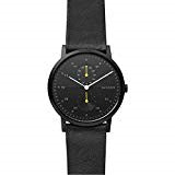 Skagen Armbanduhr SKW6499