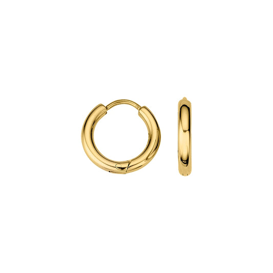 CEM Ohrschmuck 4-202337-001 Titan vergoldet