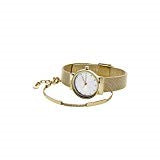 Skagen Armbanduhr Set SKW1108