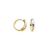 Ohrschmuck 6-203635-001 333 Gold